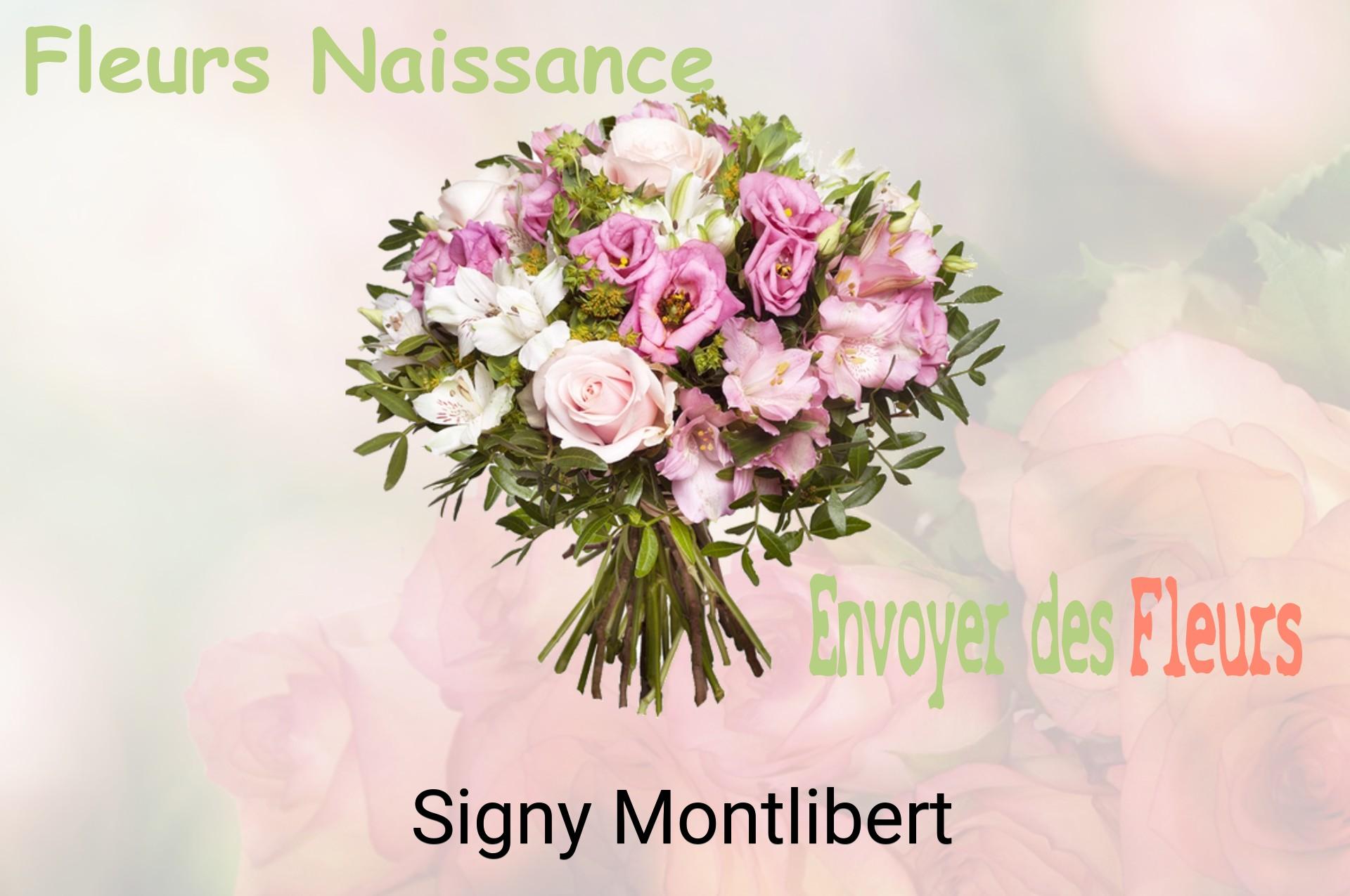 Bouquet de fleurs de naissance livré à Signy-Montlibert